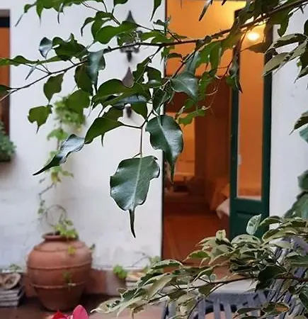 Il Cortiletto Vakantiehuis Acireale